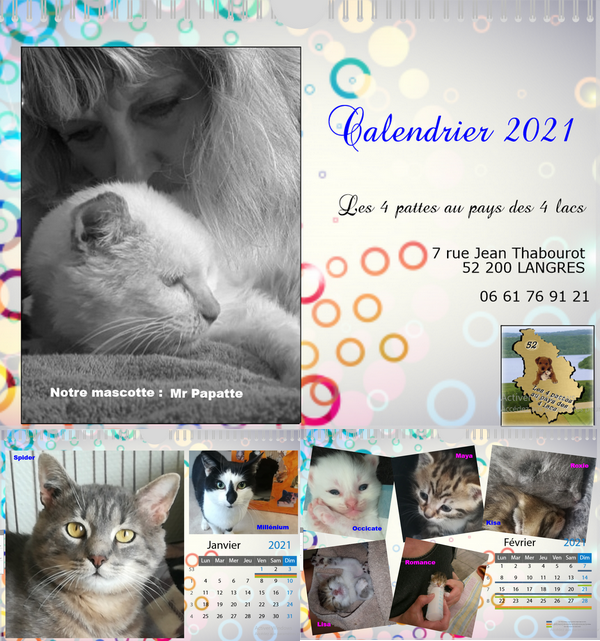 Calendriers 2021 12161811