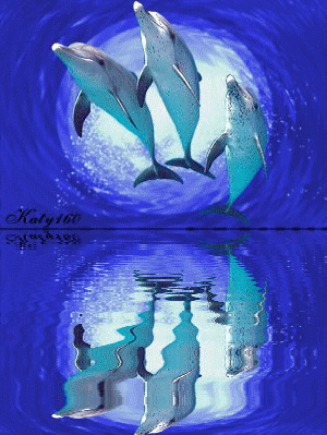 dauphins K5lfu810