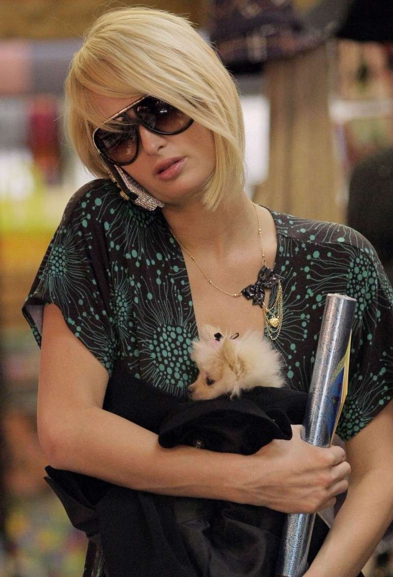 Paris Hilton de compras con su adorable mascota 95579_10