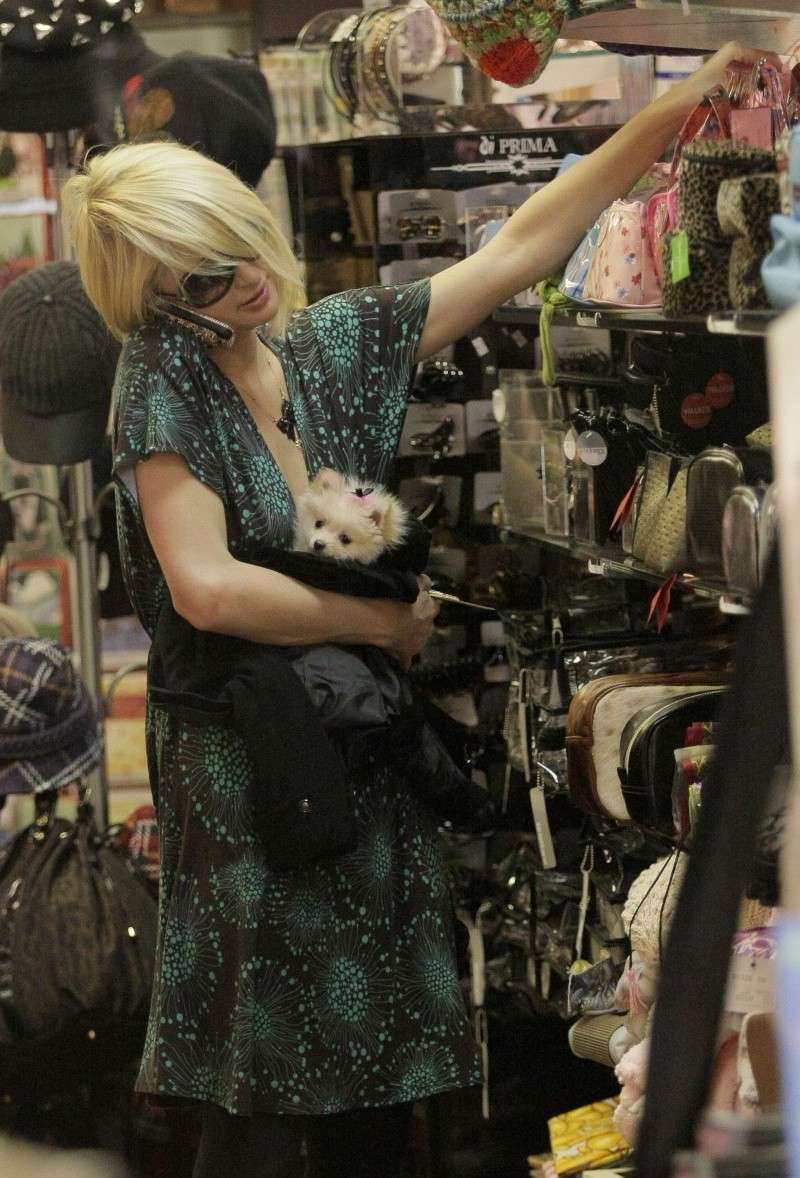 Paris Hilton de compras con su adorable mascota 95585_10