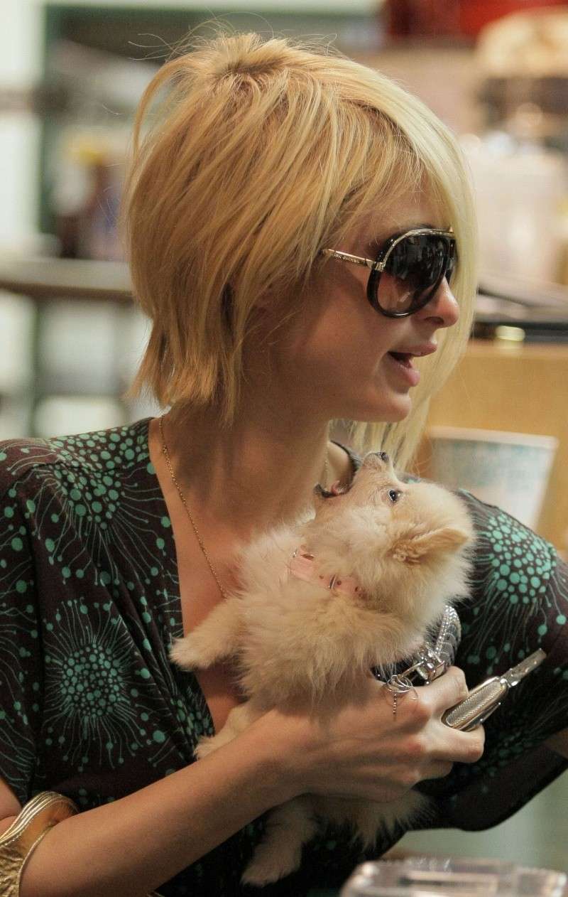 Paris Hilton de compras con su adorable mascota 95733_10