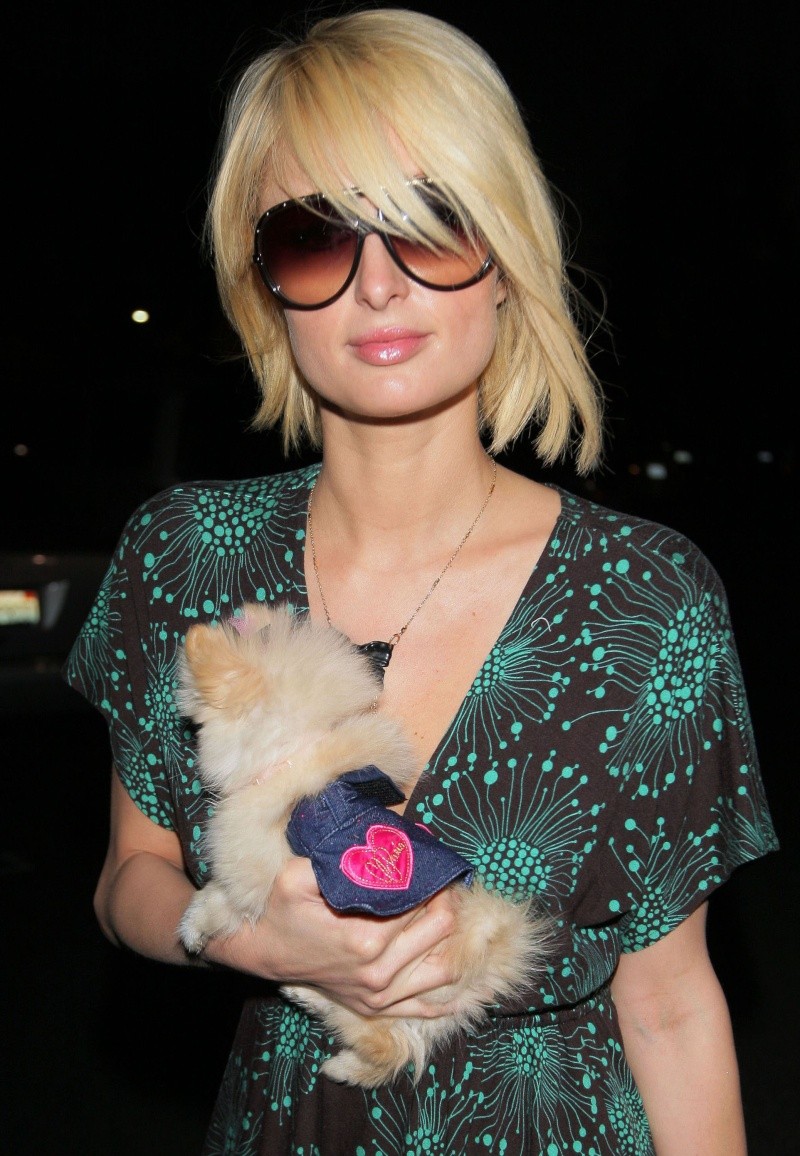 Paris Hilton de compras con su adorable mascota 95801_10