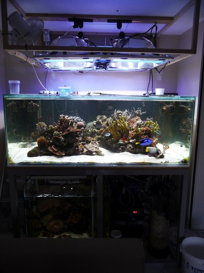 Réflecteur LightDome® 52 cm x 52 cmx 28 cm pour lampe HQI - aquarium récifal P1070010