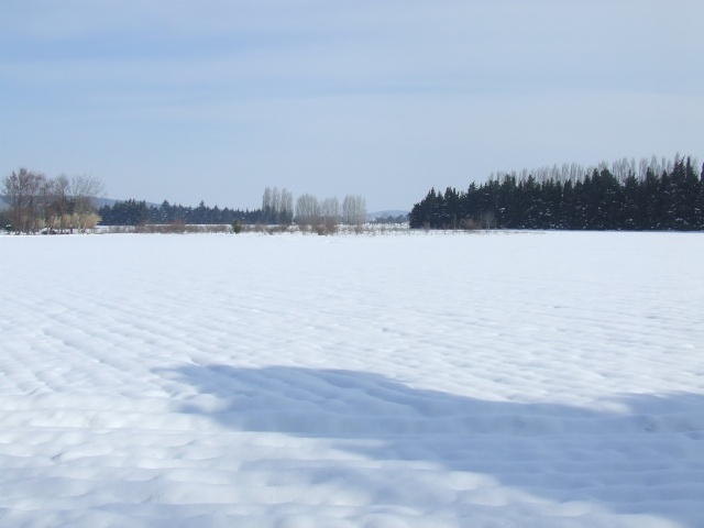 Une balade dans la neige un lundi Dscf5816