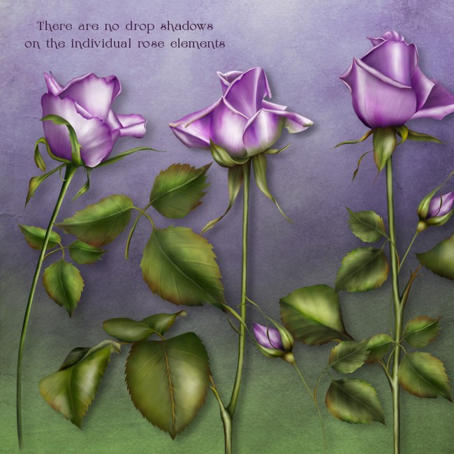 Kit Lavander Rose : Backgrounds - Frames et Tags - ....... Lavend10