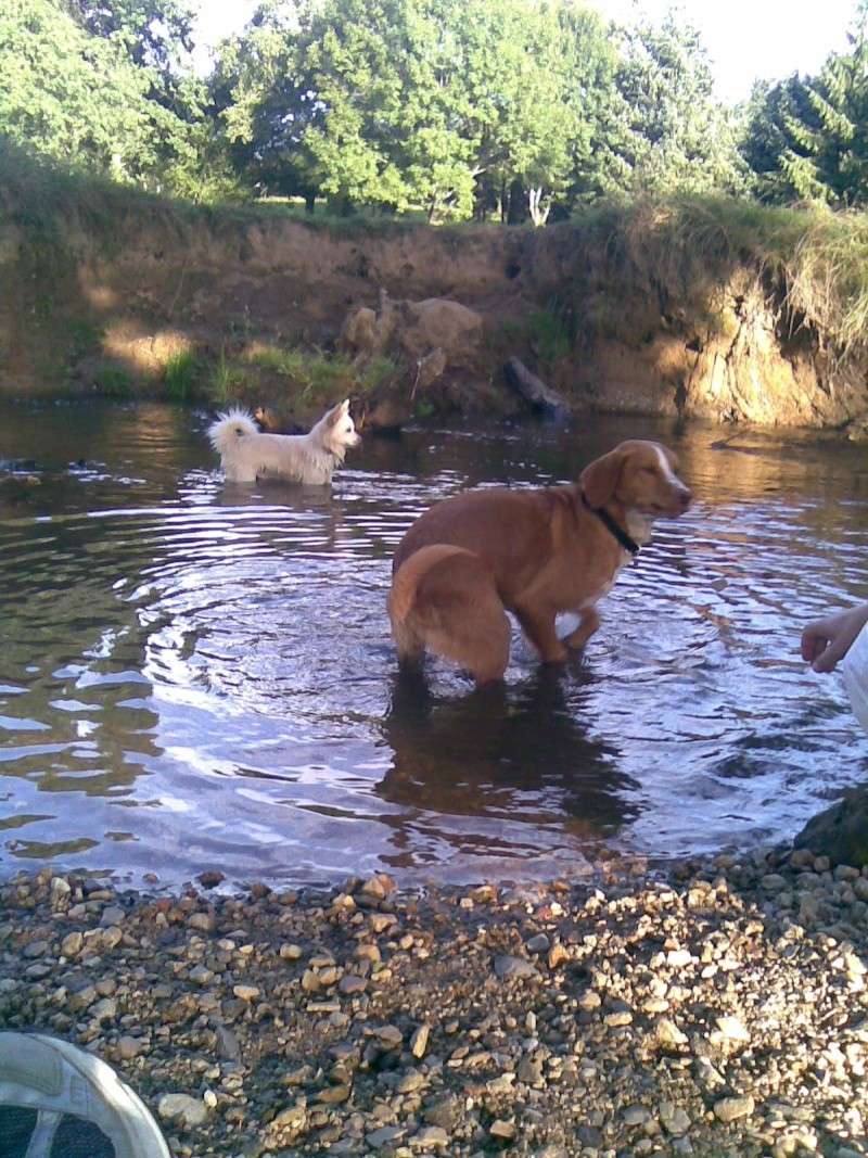 Lulu et Poppy 21082014