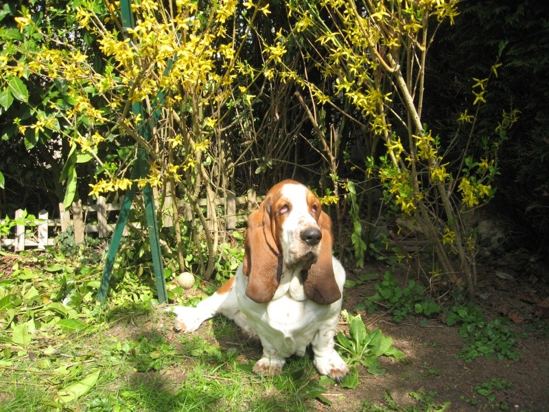 Concours Mai : Le printemps des babas... Img_0810