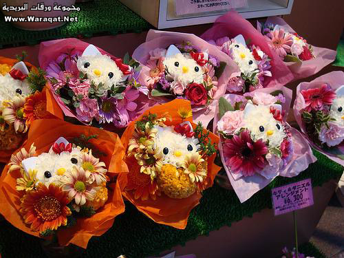 الزهور في اليابان ... روعـــــــــة Zhoor_20