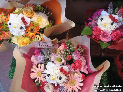 الزهور في اليابان ... روعـــــــــة Zhoor_21