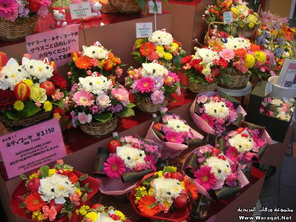الزهور في اليابان ... روعـــــــــة Zhoor_23