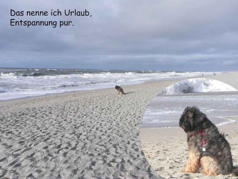 Kasimir macht Urlaub 2010 00616