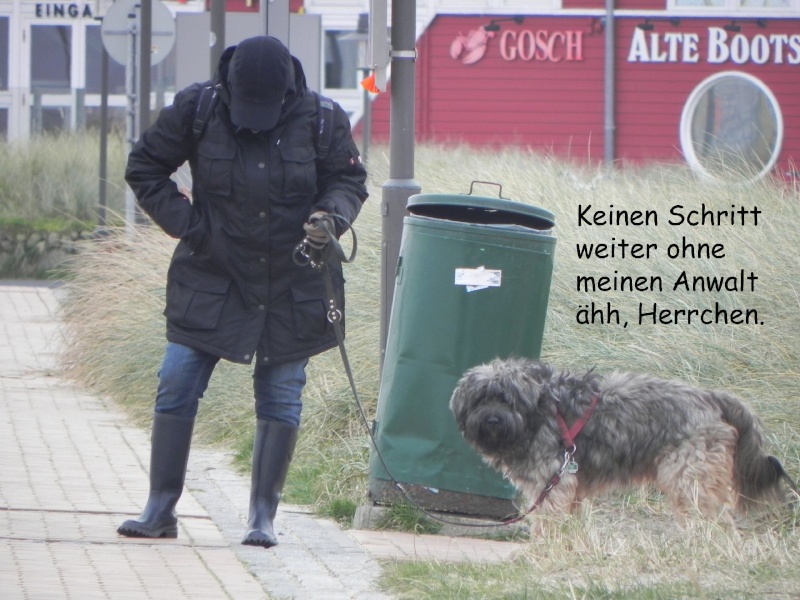 Kasimir macht Urlaub 2010 01115