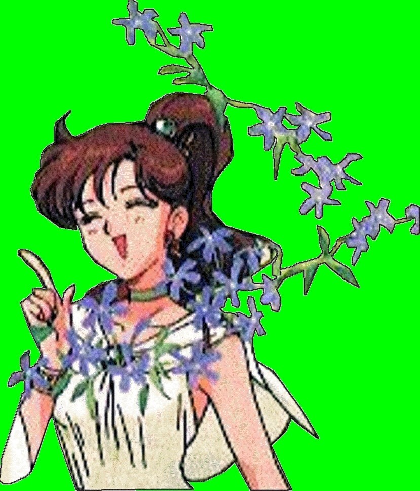Princesse Jupiter / Marcy Kino / Sailor Jupiter ( Fiche a Paufiné Finit) Flower10