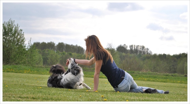 Ilow, le Border Collie - Page 11 30_avr11