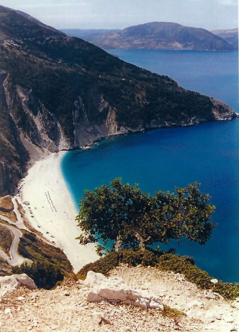 Inspirational Trees - Page 7 Greece10