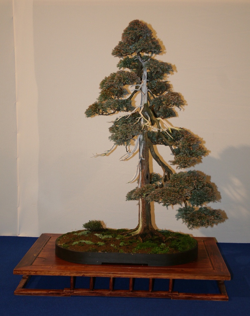 Some photographs of Noelanders 2009, Exposition in Belgium Noelan21