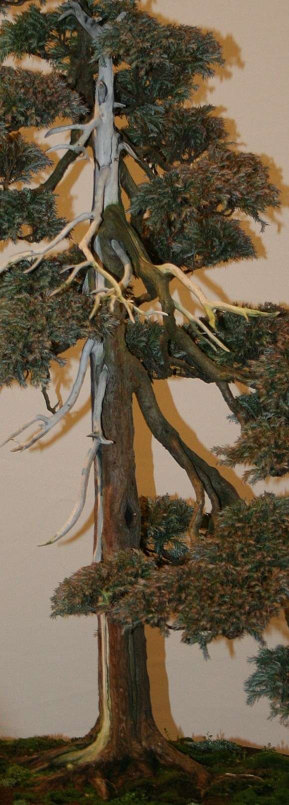 Some photographs of Noelanders 2009, Exposition in Belgium Noelan22