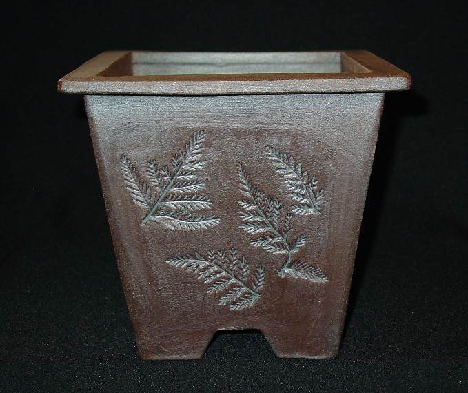 Some pots for the new gallery - Page 11 Ferns_10