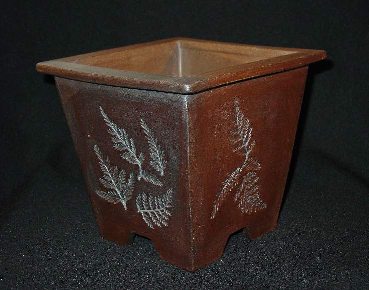 Some pots for the new gallery - Page 11 Ferns_12