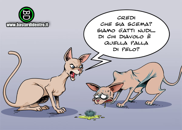 per sorridere un po........... Gatti_10