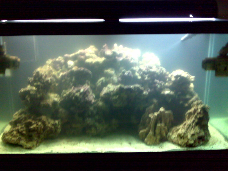 Derek's 90 gal. reef build Img00524