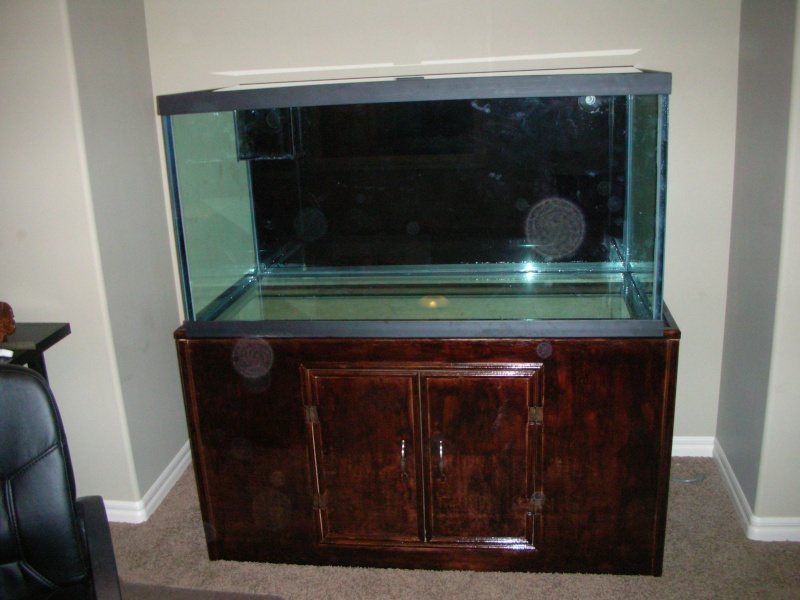 Derek's 90 gal. reef build New_ta12