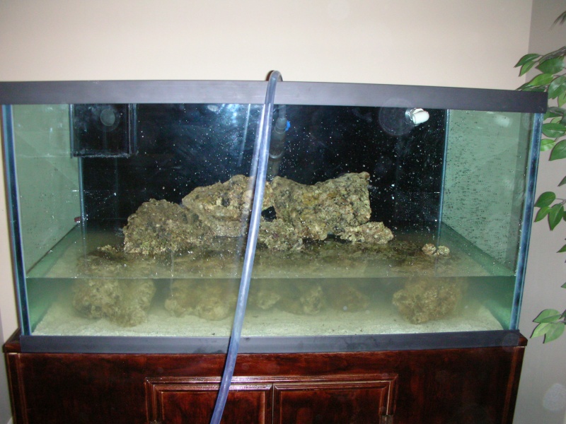 Derek's 90 gal. reef build New_ta18