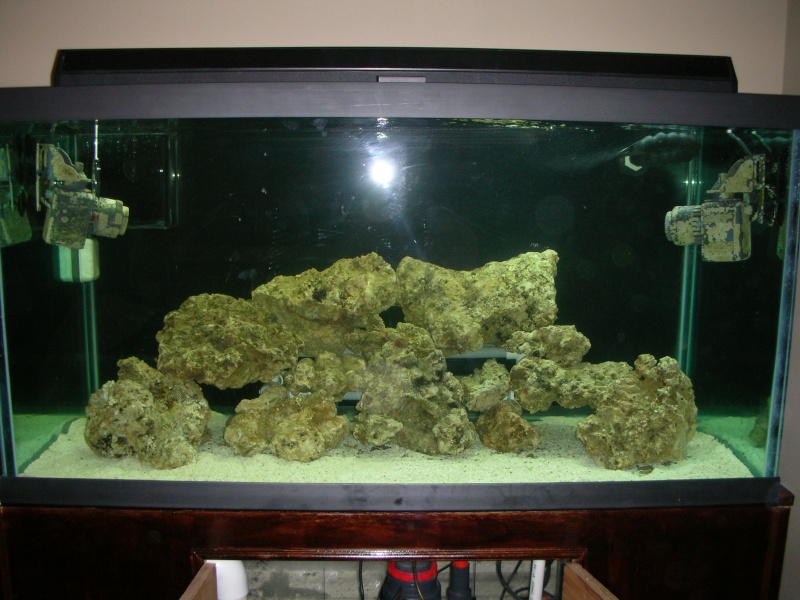 Derek's 90 gal. reef build New_ta19