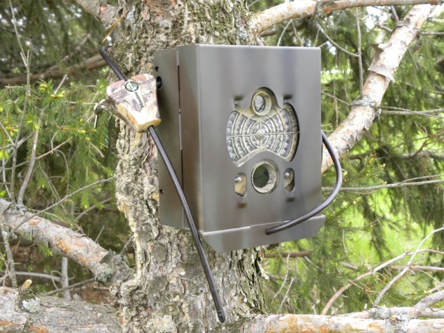 Boîte de protection pour vos caméras vs ours Spypoi10