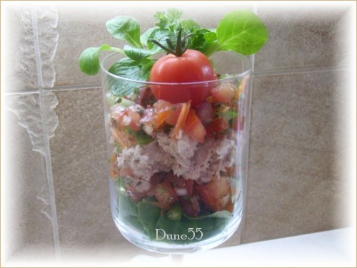 Salade de concassé de tomates au thon Salade10