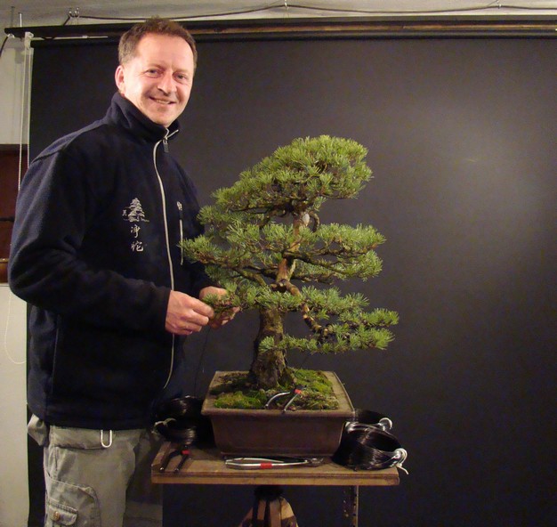 Pinus sylvestris 2003 - restyling 11_110