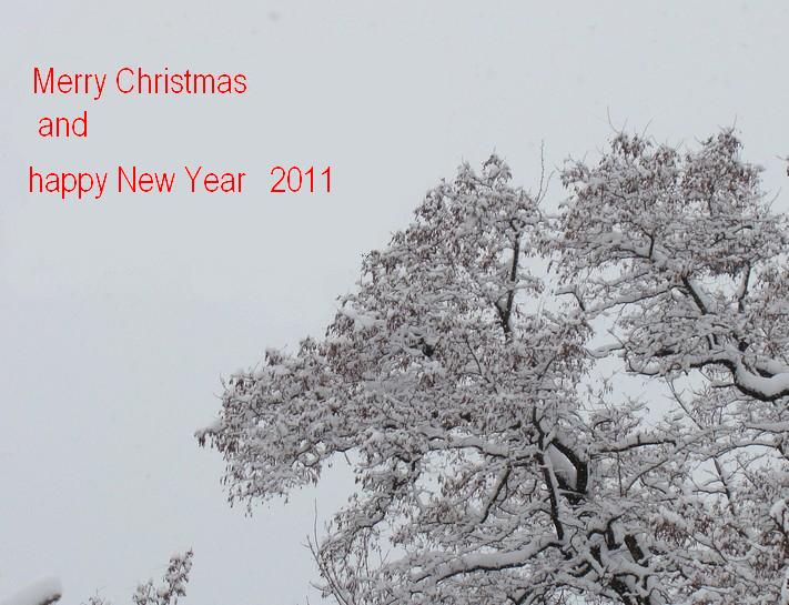 Merry Christmas and Happy New Year Auv_1410