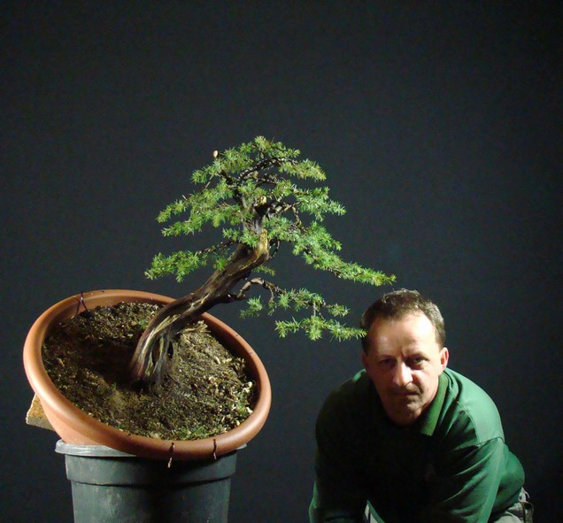 Juniperus communis - yamadori 2007 Jl_810