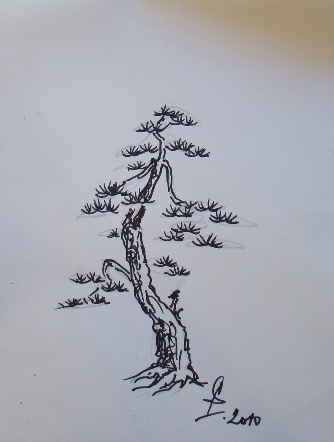 Pine  and Larch. P_110