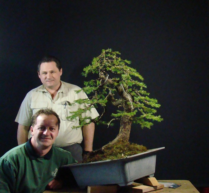 Picea abies - Spruce yamadori - "First" - (owner Mirek Škrabal)  Pab_2110