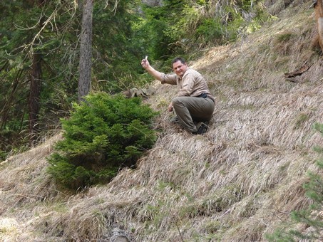 Picea abies - Spruce yamadori - "First" - (owner Mirek Škrabal) Smrk-410