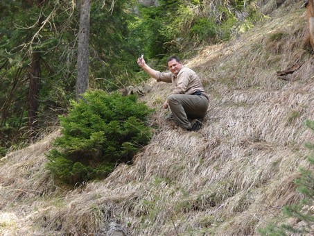 Picea abies - Spruce yamadori - "First" - (owner Mirek Škrabal)  Smrk-410