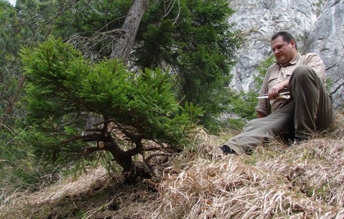 Picea abies - Spruce yamadori - "First" - (owner Mirek Škrabal) Smrk-710