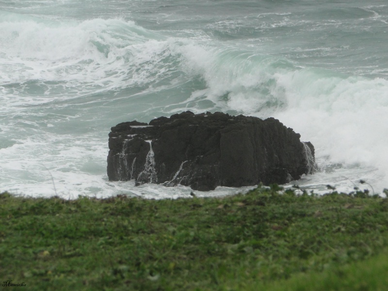 Je m'attendais à voir des vraies grosses vagues... 2010-220