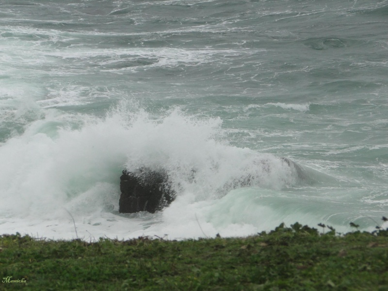 Je m'attendais à voir des vraies grosses vagues... 2010-226