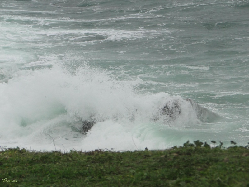 Je m'attendais à voir des vraies grosses vagues... 2010-227