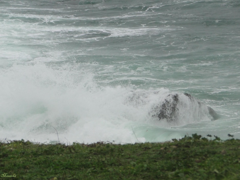 Je m'attendais à voir des vraies grosses vagues... 2010-228