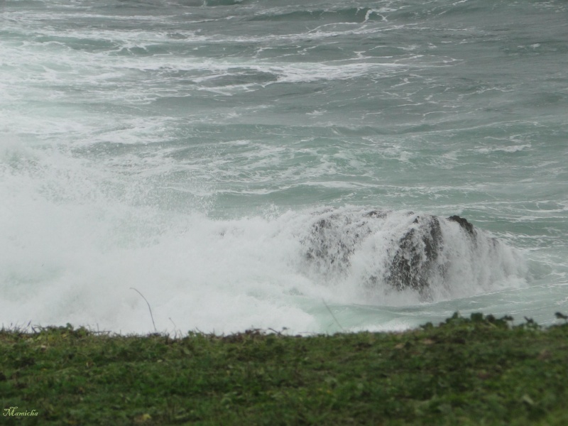 Je m'attendais à voir des vraies grosses vagues... 2010-229