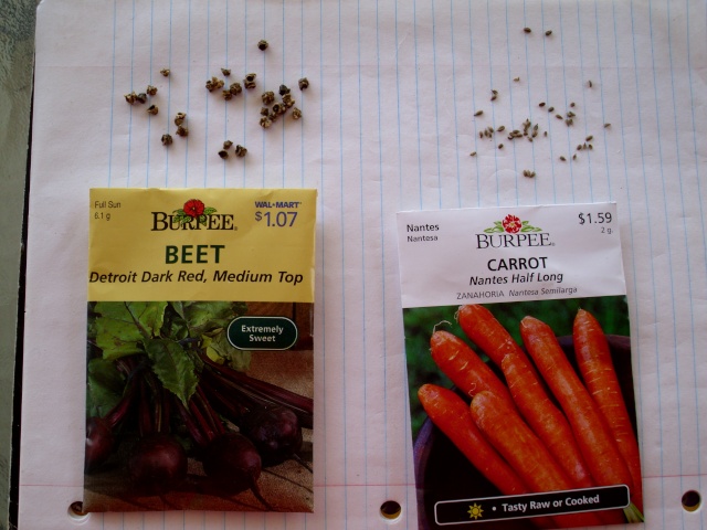 carrots, beets & cole crops Hpim0518