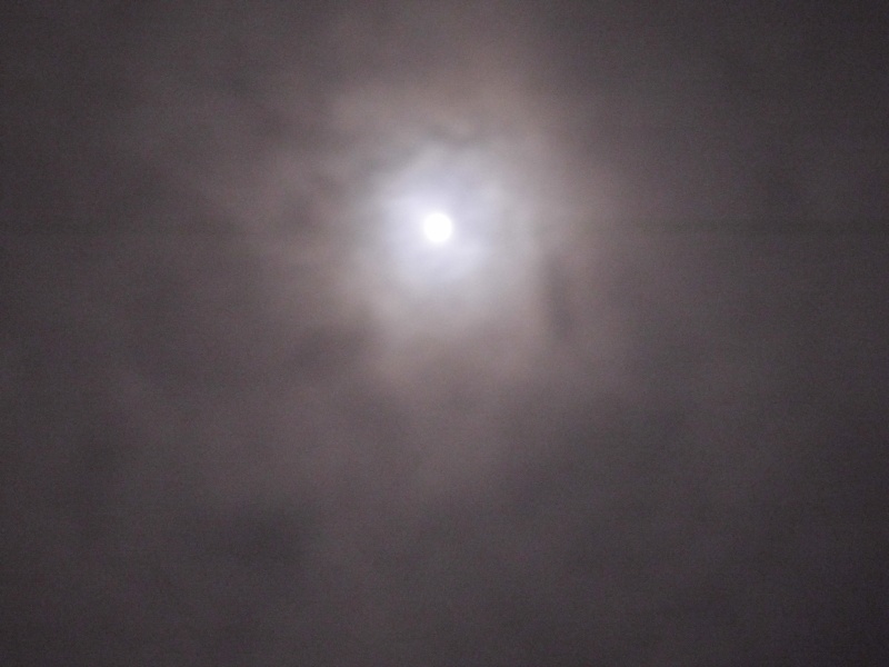 eclipse pics Hpim4427