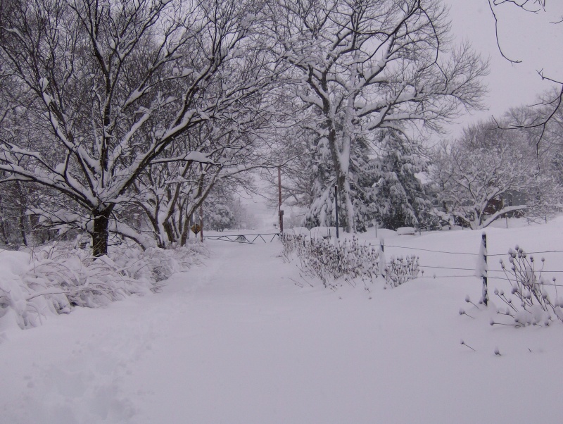 24 inches and still snowing.. Hpim9713