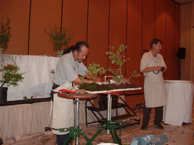 To be Exhibited at the Bonsai Societies of Florida 2010_017