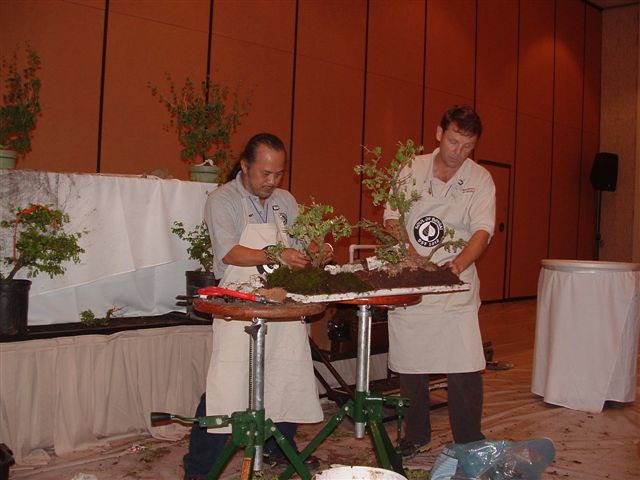 To be Exhibited at the Bonsai Societies of Florida 2010_018