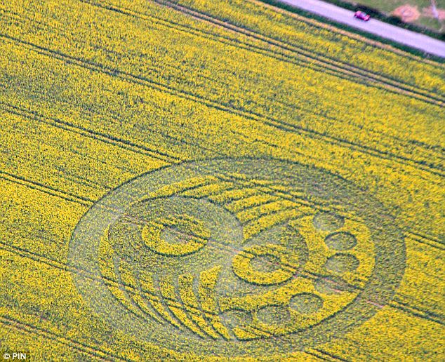 2010 Crop circles? Cropci10