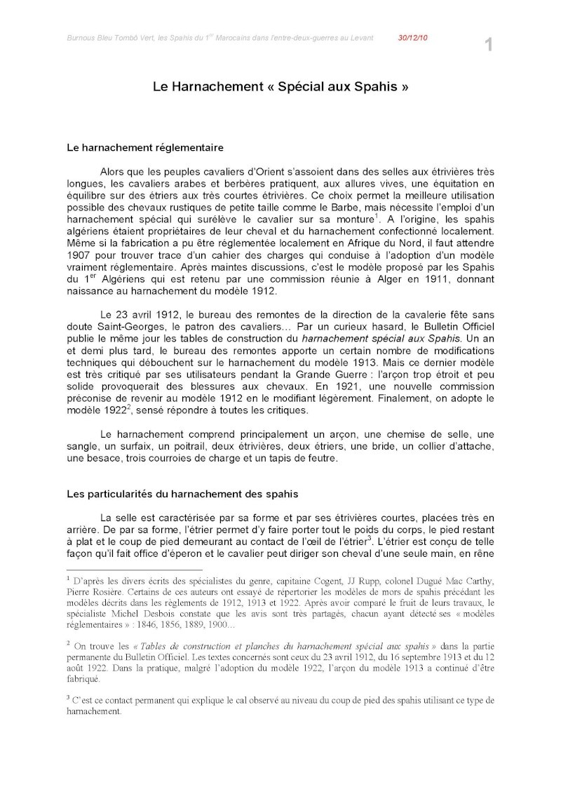 LES SPAHIS DE LA HORGNE (2010) - Page 21 Bbtv_h10
